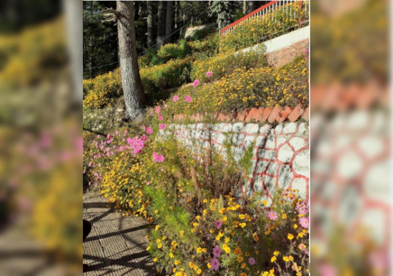 Khajjiar Hotel Country Resort מראה חיצוני תמונה
